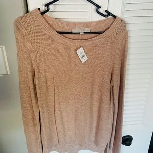 LOFT Brand Sweater